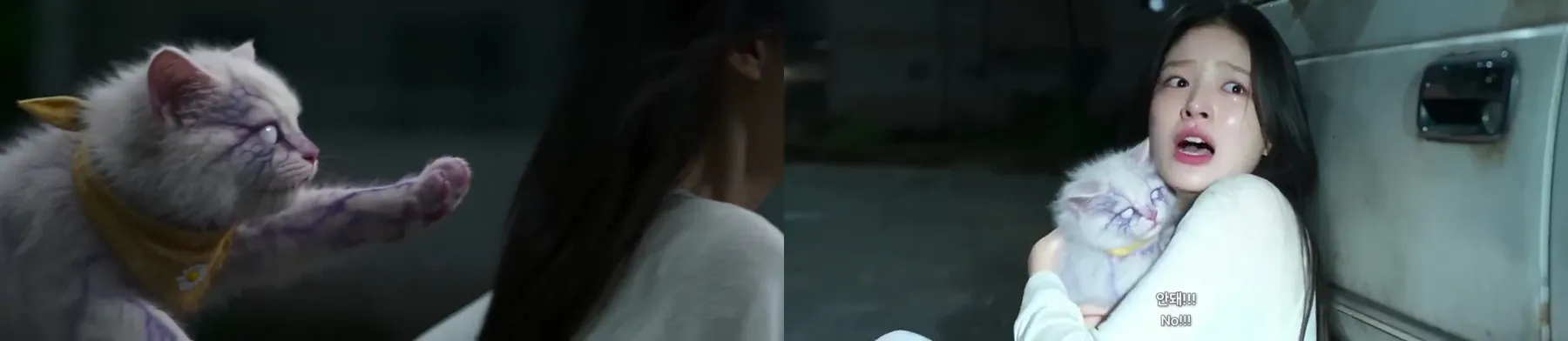 Frames from the 21:9 Seedance 2.5 drama by @MaxCarter_01 on X (re-hosted with credit) Seedance 2.5 sci-fi drama: a fluffy white-grey cat with lavender streaks and a young woman with long black hair in the rain at night