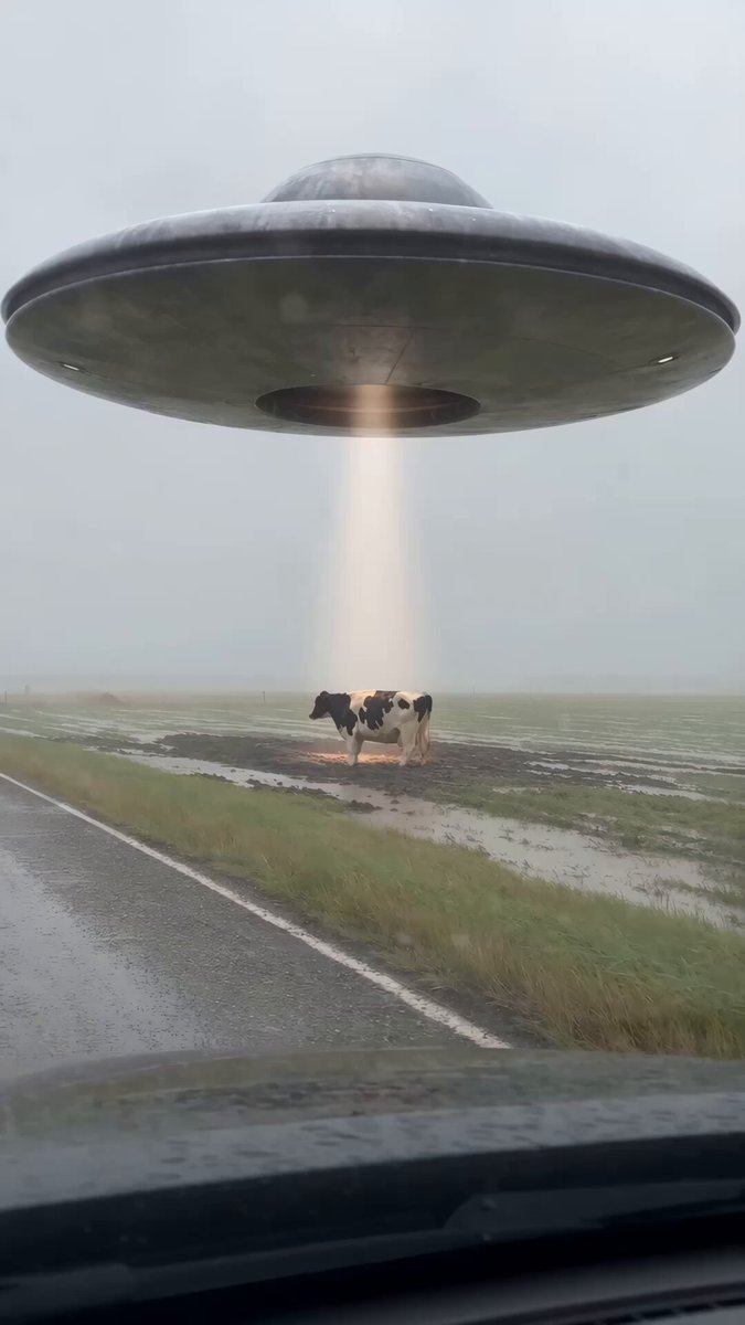 UFO abducts cow seen from car