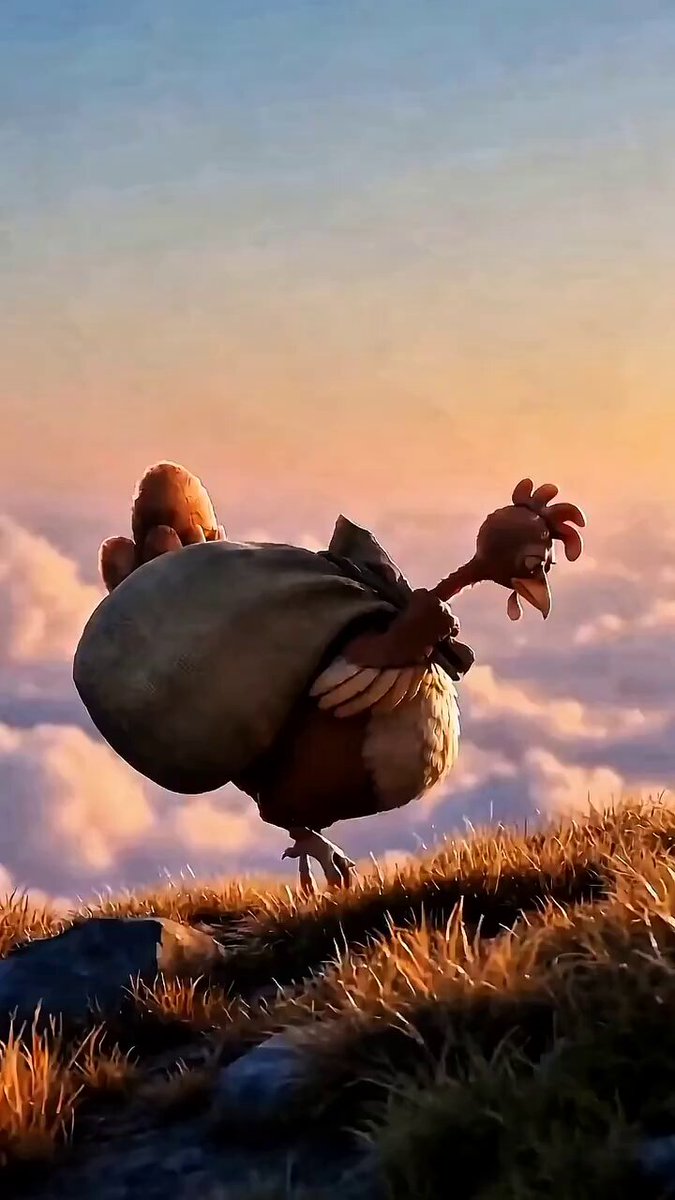 Hen protects chicks from hawk