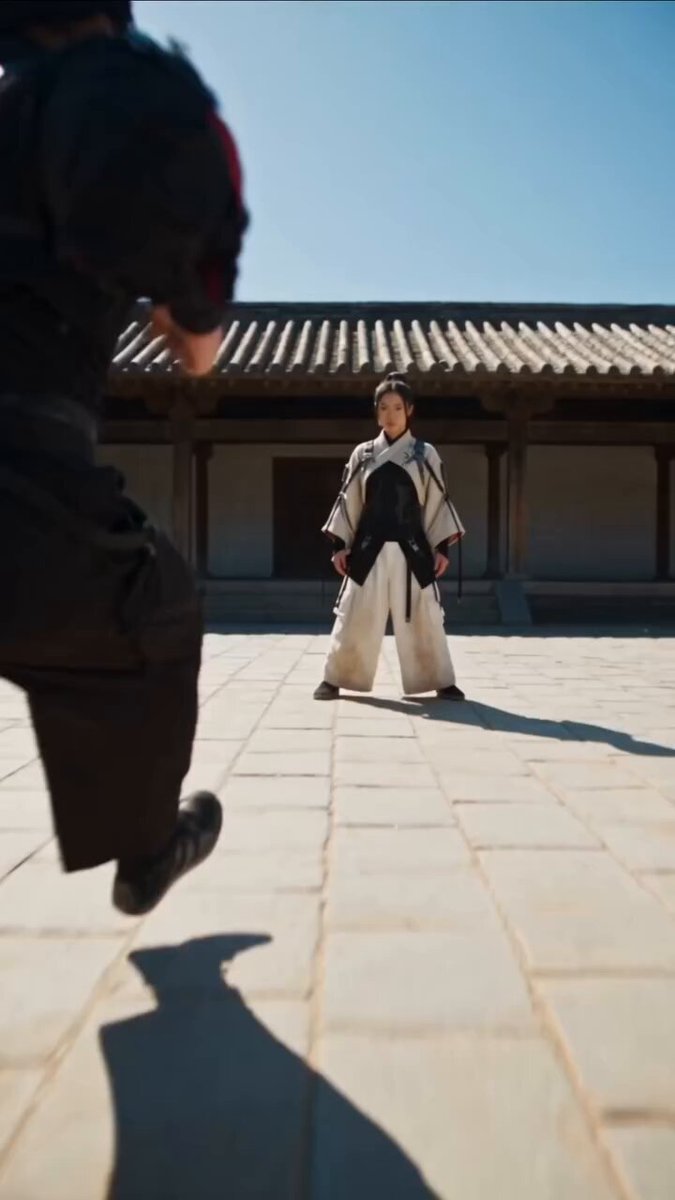 Never Underestimate Her Kung Fu Skills! Made with Seedance 2.5 on picsa